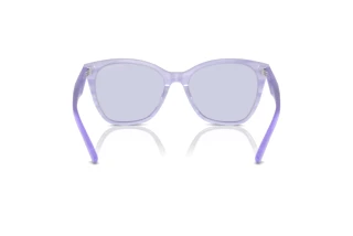 Rear view Emporio Armani EA4222U (61131A)