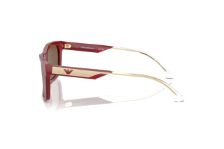 Side view Emporio Armani EA4224 (609373)