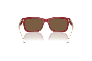Rear view Emporio Armani EA4224 (609373)