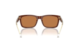 Rear view Emporio Armani EA4224 (609573)
