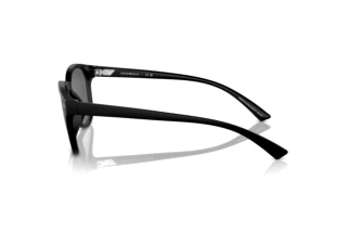 Side view Emporio Armani EA4225U (500187)