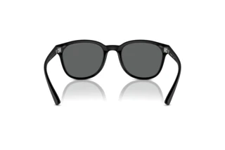 Rear view Emporio Armani EA4225U (500187)