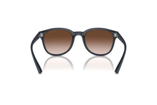 Rear view Emporio Armani EA4225U (508813)