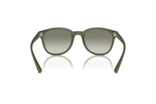 Rear view Emporio Armani EA4225U (60998E)