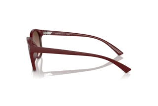 Side view Emporio Armani EA4225U (610113)