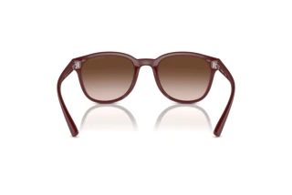 Rear view Emporio Armani EA4225U (610113)