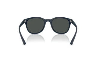 Rear view Emporio Armani EA4225U (618587)