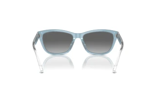 Rear view Emporio Armani EA4227U (609611)