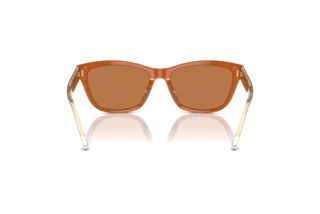 Rear view Emporio Armani EA4227U (609773)