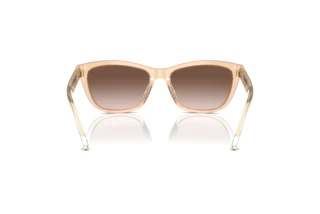 Rear view Emporio Armani EA4227U (609813)