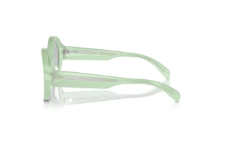 Side view Emporio Armani EA4231U (615487)