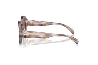 Side view Emporio Armani EA4231U (615673)
