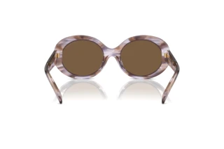 Rear view Emporio Armani EA4231U (615673)