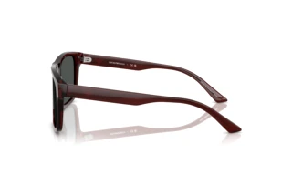 Side view Emporio Armani EA4232 (617487)