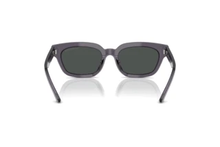 Rear view Emporio Armani EA4233U (610687)