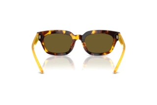 Rear view Emporio Armani EA4233U (618173)