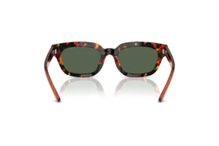 Rear view Emporio Armani EA4233U (618271)