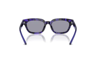 Rear view Emporio Armani EA4233U (618380)