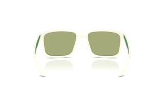 Rear view Emporio Armani EA4234U (618782)