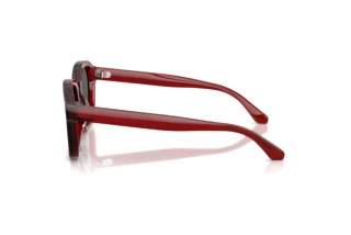 Side view Emporio Armani EA4245U (624887)