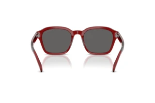 Rear view Emporio Armani EA4245U (624887)