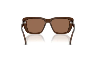 Rear view Emporio Armani EA4246U (625173)