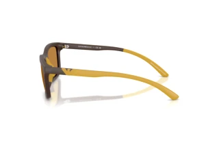 Side view Emporio Armani EA4249U (625893)