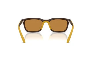 Rear view Emporio Armani EA4249U (625893)
