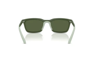 Rear view Emporio Armani EA4249U (625971)