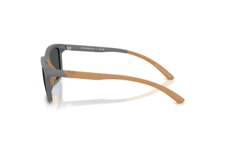 Side view Emporio Armani EA4249U (626187)