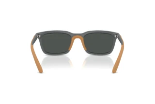 Rear view Emporio Armani EA4249U (626187)
