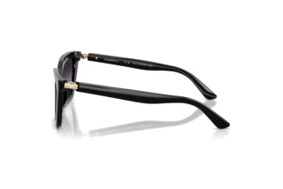 Side view Emporio Armani EA4250U (50178G)