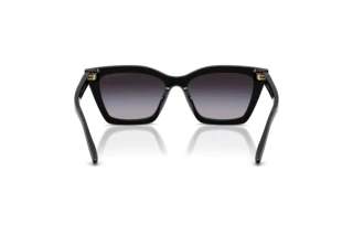 Rear view Emporio Armani EA4250U (50178G)