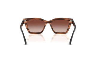 Rear view Emporio Armani EA4250U (626613)