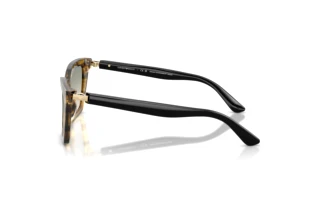 Side view Emporio Armani EA4250U (62672C)