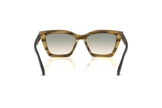 Rear view Emporio Armani EA4250U (62672C)