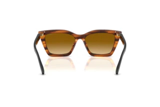 Rear view Emporio Armani EA4250U (62682L)