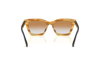 Rear view Emporio Armani EA4250U (62692Q)