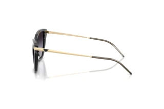 Side view Emporio Armani EA4251 (62628G)