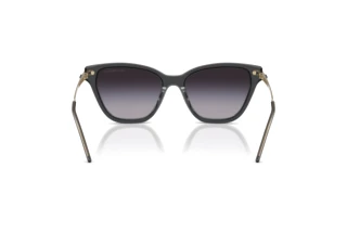 Rear view Emporio Armani EA4251 (62628G)
