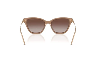 Rear view Emporio Armani EA4251 (626313)
