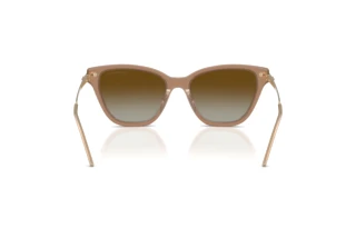 Rear view Emporio Armani EA4251 (6263T5)