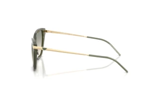 Side view Emporio Armani EA4251 (62642C)