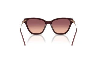 Rear view Emporio Armani EA4251 (62658D)