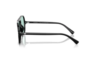 Side view Emporio Armani EA4252U (501765)