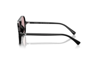 Side view Emporio Armani EA4252U (501773)