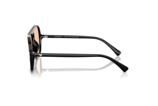 Side view Emporio Armani EA4252U (501793)