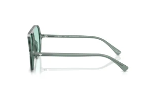Side view Emporio Armani EA4252U (627065)