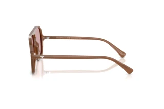 Side view Emporio Armani EA4252U (627173)