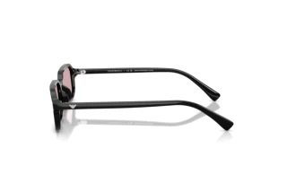Side view Emporio Armani EA4253U (501773)